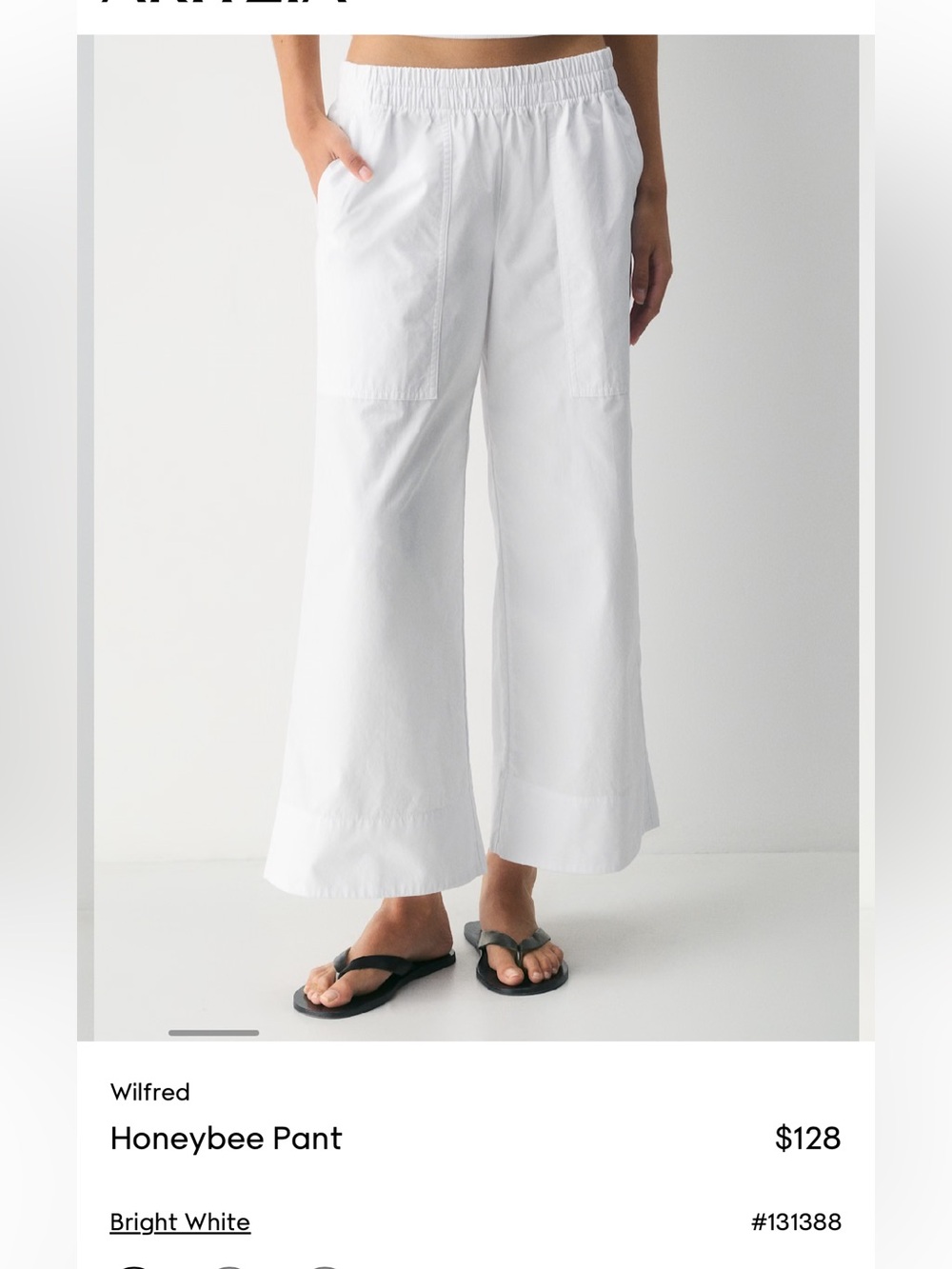 Aritzia Honeybee Trouser